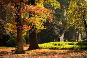 Botanical Garden, Buenos Aires