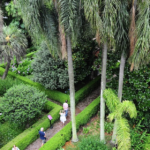 Danza de la Vida Breve | Una experiencia teatral en un jardín andaluz.