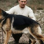 La División Perros de la Policía de la Ciudad sumó un nuevo espacio de crianza y entrenamiento.